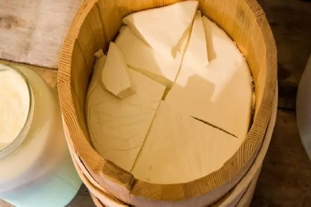 pljevaljski sir crna gora brend sira crnogorski pljevlja domaći tradicionalni cheese montenegro webp jpg img slika photo logo