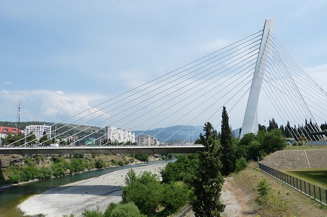 ess montenegro evropsko društveno istraživanje podgorica elektronski servisi glavnog grada podgorice glavni grad
