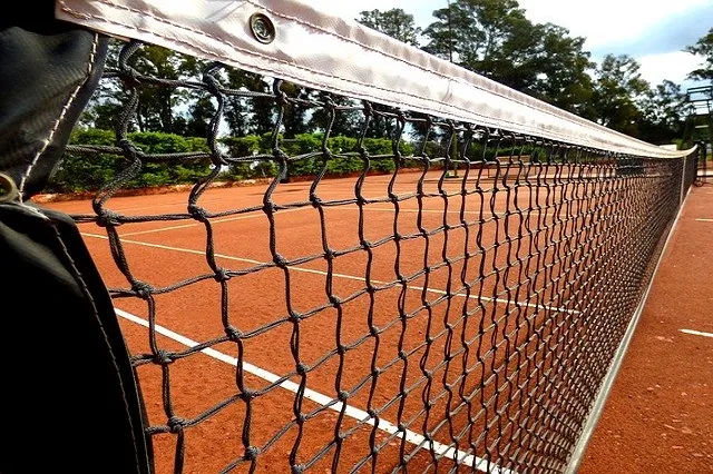 tenis tennis